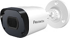 IP-камера Falcon Eye FE-IPC-BV2-50pa