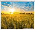 Проекционный экран Lumien Eco Picture 153x203 LEP-100113