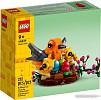 Конструктор LEGO Creator 40639 Сувенирный набор Птичье гнездо