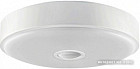 Люстра-тарелка Yeelight Ceiling Light YLXD09YL