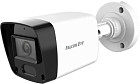 IP-камера Falcon Eye FE-IB2-30