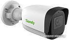 IP-камера Tiandy TC-C32WN I5/E/Y/4mm/V4.1